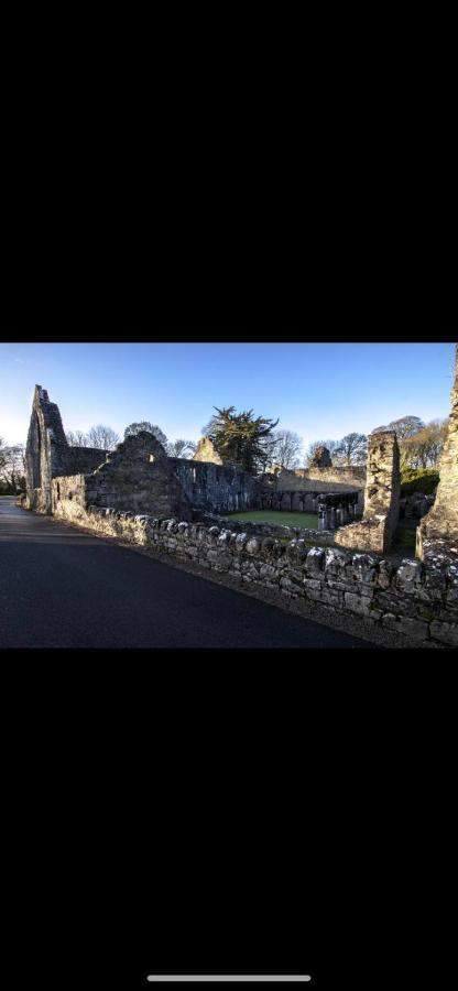 Oak Lodge Portumna Zewnętrze zdjęcie