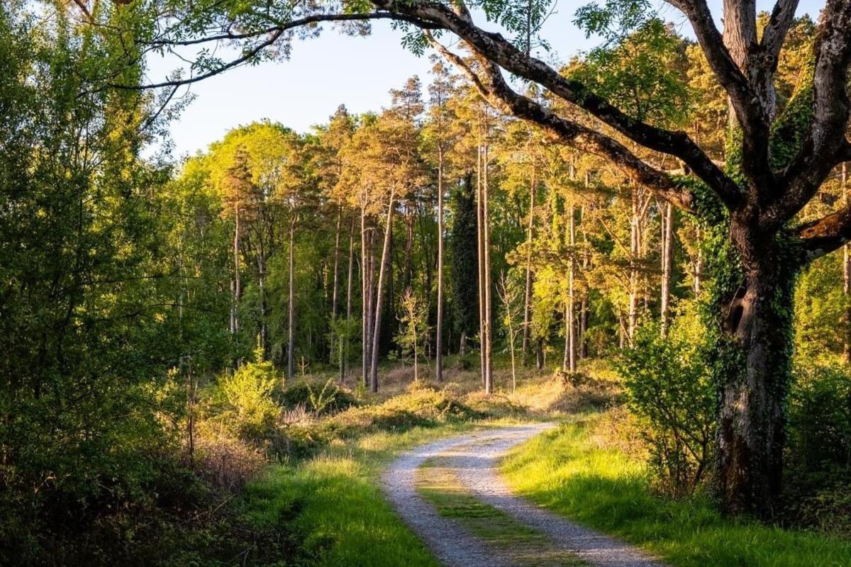 Oak Lodge Portumna Zewnętrze zdjęcie