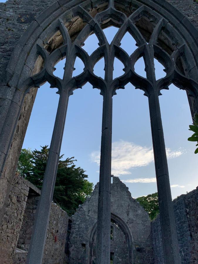 Oak Lodge Portumna Zewnętrze zdjęcie